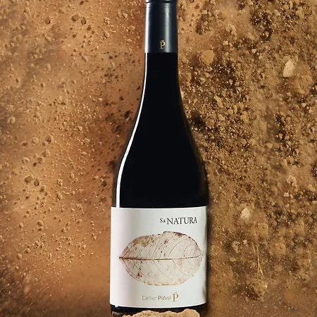 Appartamento Enoturismo Celler Piñol *