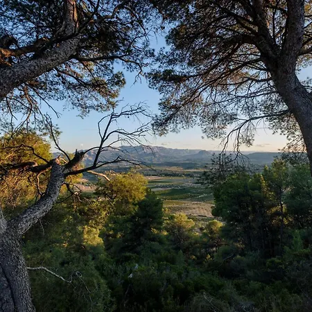 Enoturismo Celler Piñol Appartamento *
