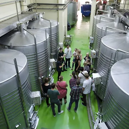 Enoturismo Celler Piñol Batea